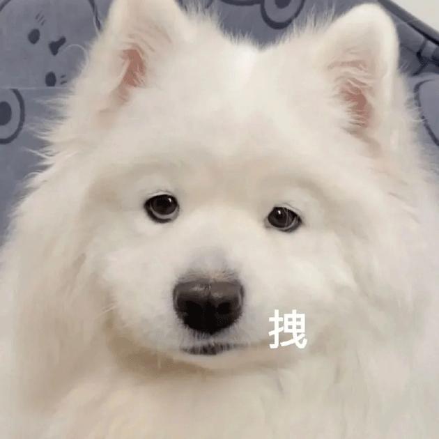 我涉嫌喜欢你表情包,今日任务喜欢你表情包