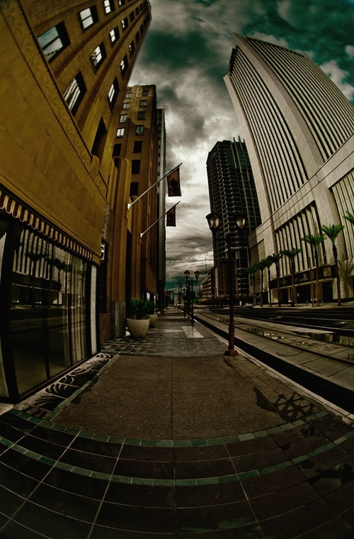 涨知识看什么视频,涨知识原相机