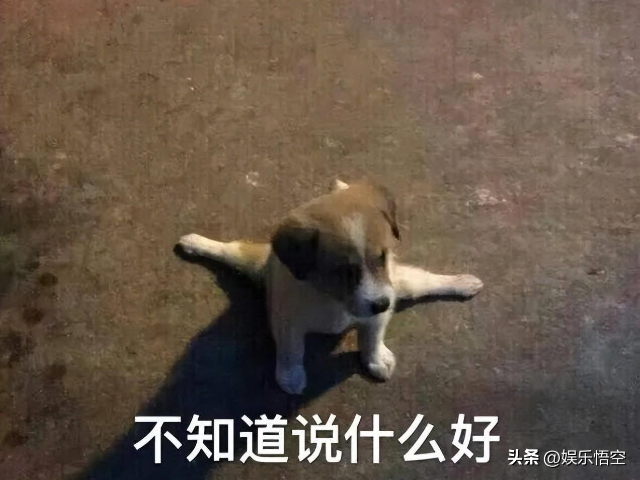 医美面膜值得拥有,便宜好用补水医美面膜