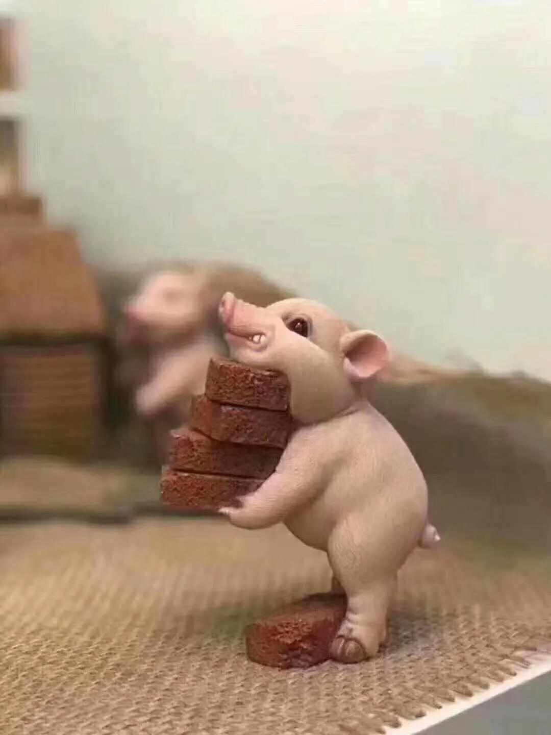 用工具提升效能,运用工具提高效率