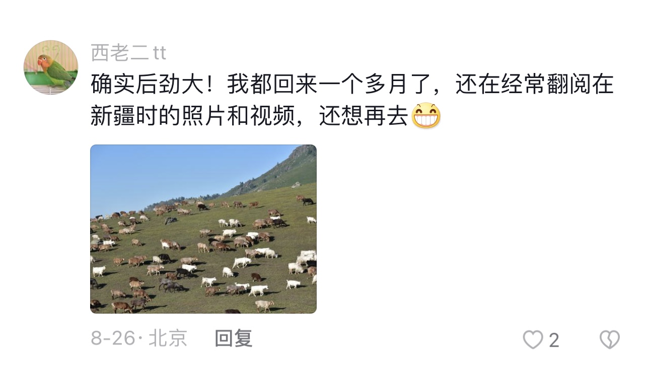 从新疆回来是什么感受,从新疆回来的变化