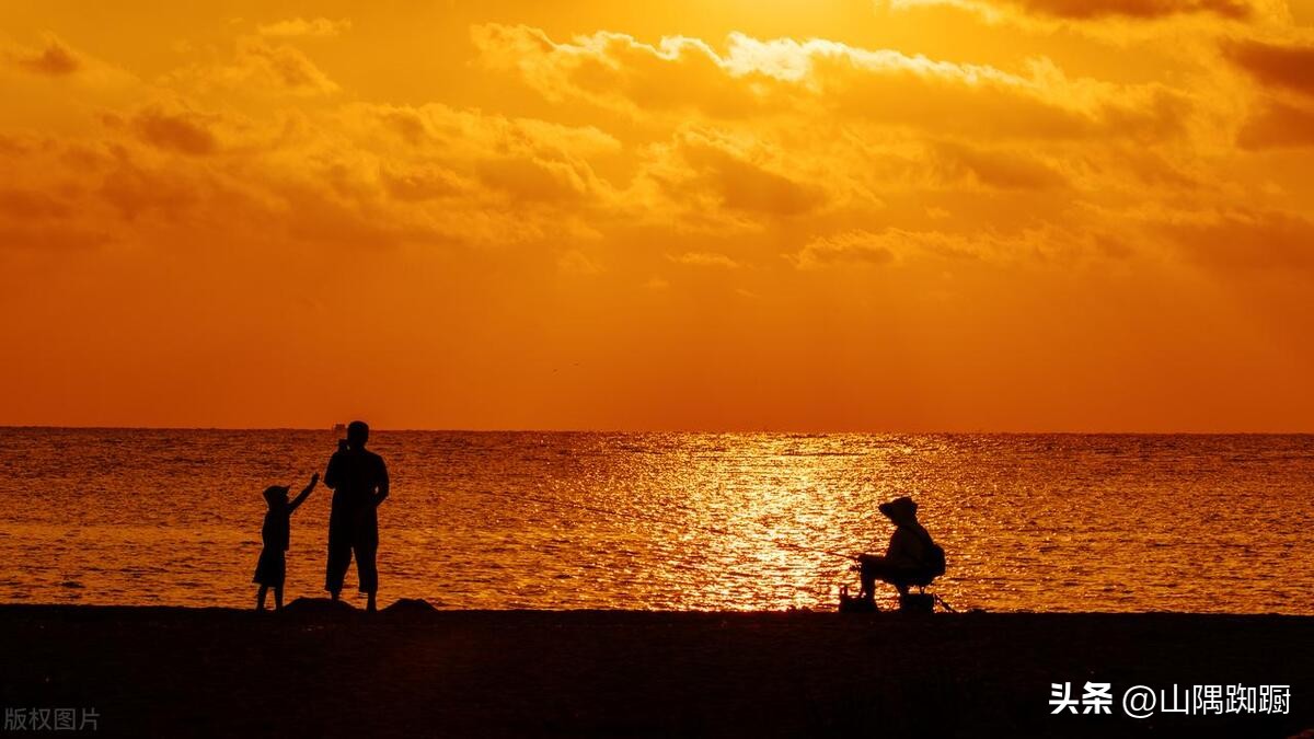 2008高考满分作文800字,2008高考语文卷作文范文