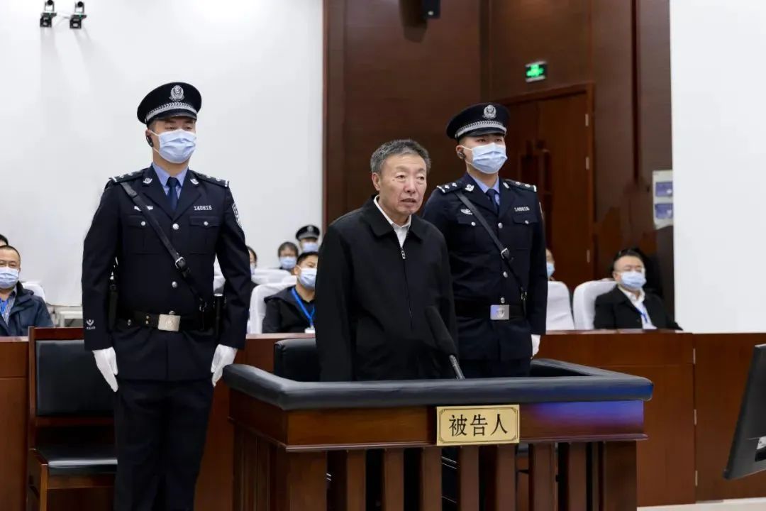 张务锋、徐鸣、徐宝义、胡东胜、朱玉文、辛敏超、杨随亭、张天喜、顾艳华，专项整治开展后被捉的“硕鼠”们