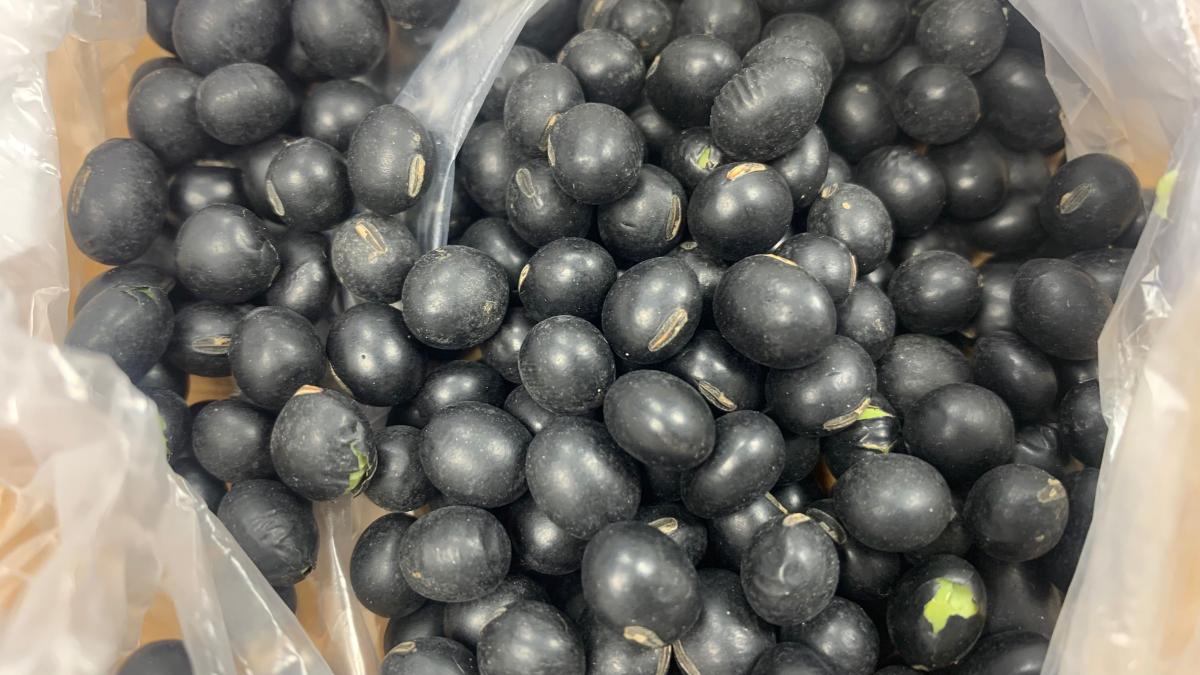 它才是真正的补肾之王,每天喝它补肾养颜白发变黑发