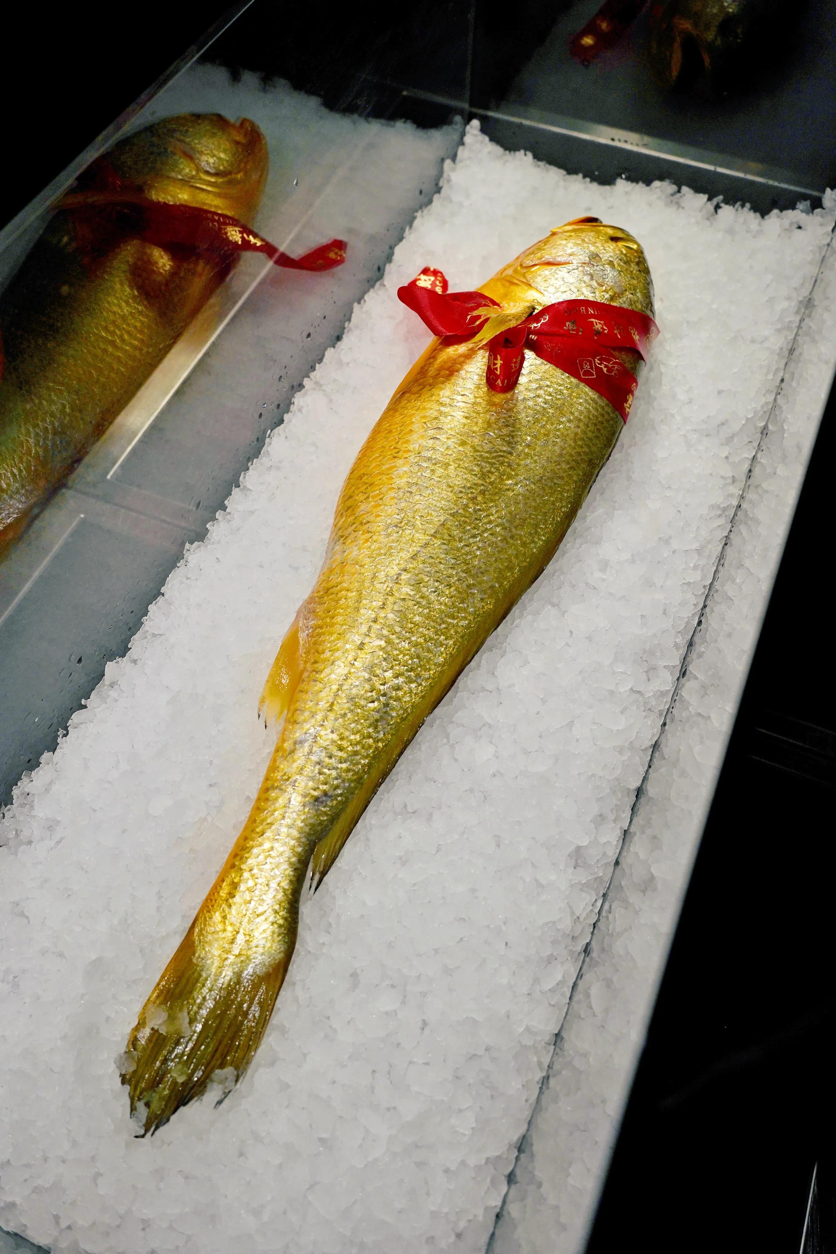 #开始记日记#1789无敌江景的东临观海和兴1913