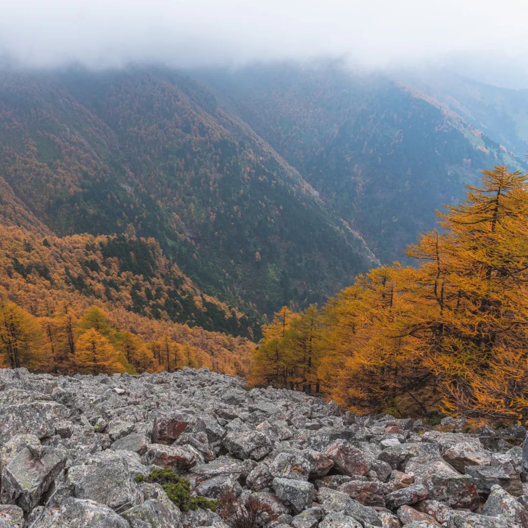 太白山是陕西最高点吗,秦岭最高峰太白山