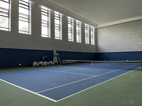 鍒濆涔嬫梾榛勯噾娴峰哺,鍒濆涔嬫梾