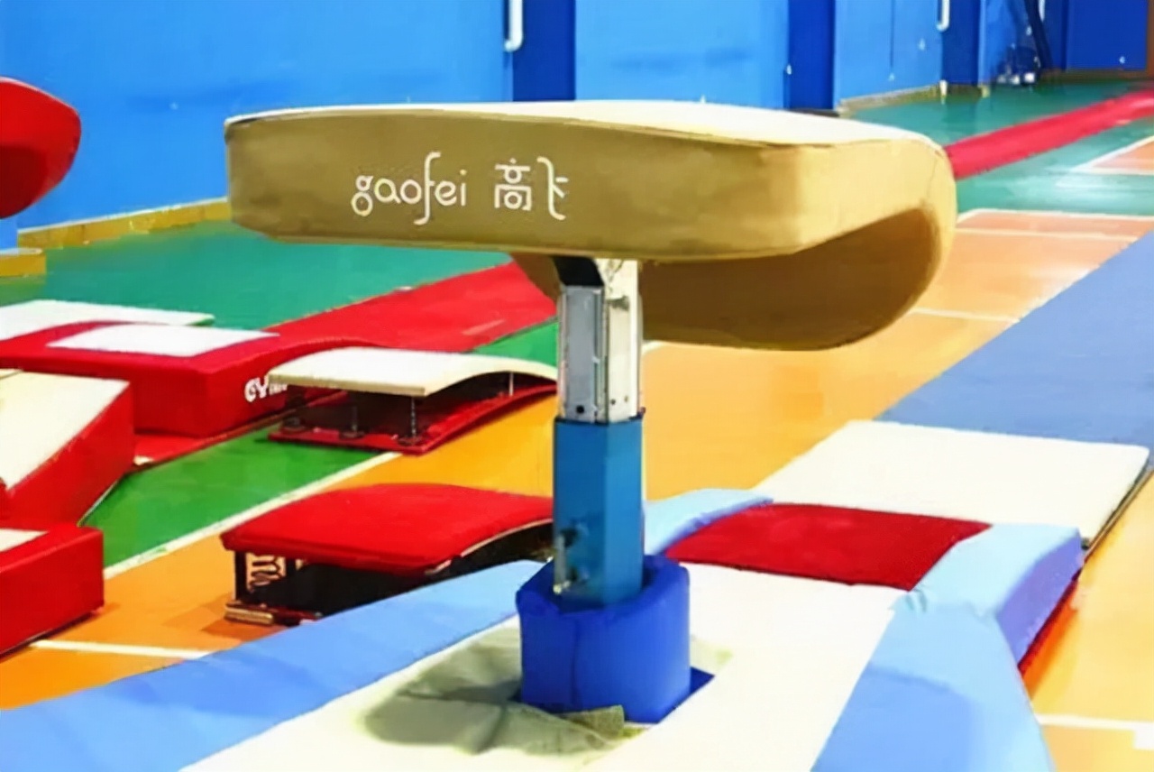 体操名将陆莉现在照片,体操选手陆莉