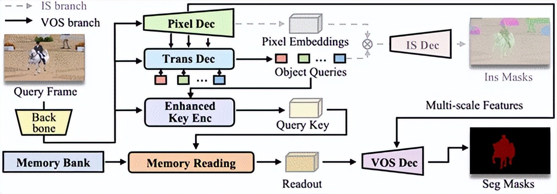 复旦研究院最新成果,复旦发布基因研究成果