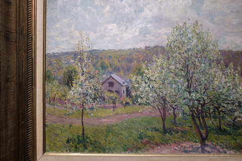 解封后苏州的堂食,苏州解封后的活动