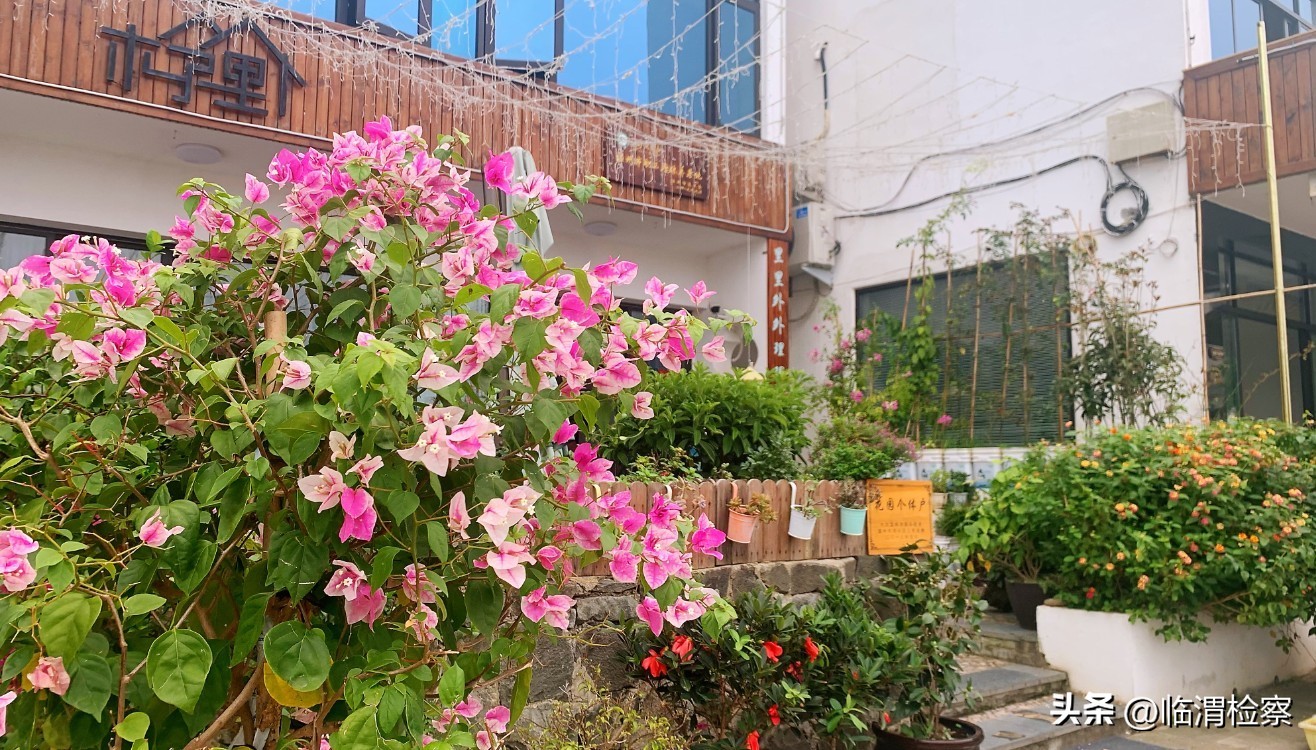 浙江温州洞头七彩小渔村,洞头县海岛渔村