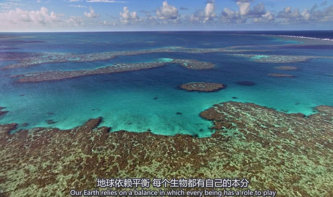 极端高温,灾难的开始…该如何拯救