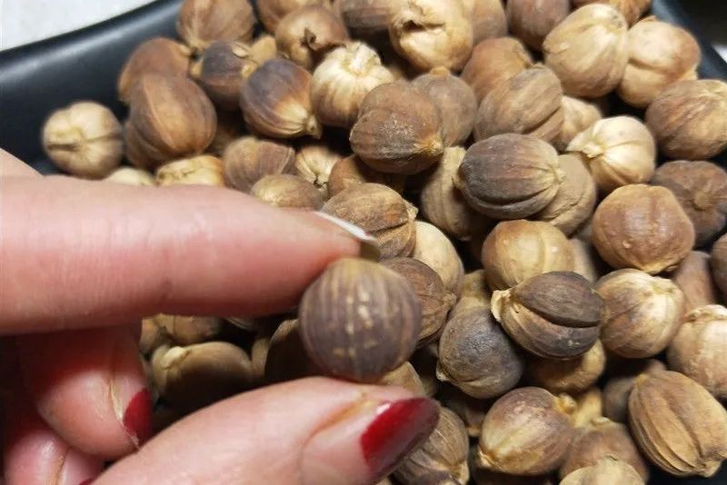 12种香料及分量,姜科植物的香料有哪些