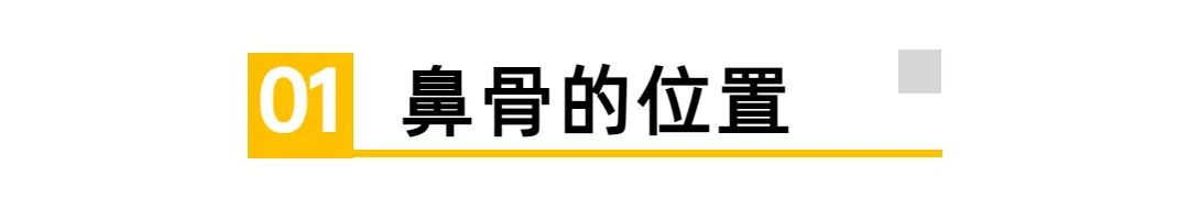 九院韦敏介绍,九院韦敏隆鼻多少钱
