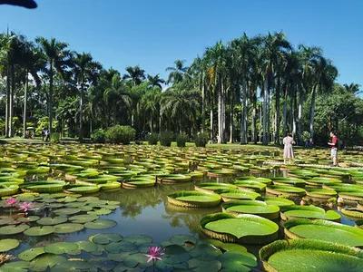 西双版纳自驾旅游攻略最佳路线,昆明大理丽江西双版纳自由行攻略
