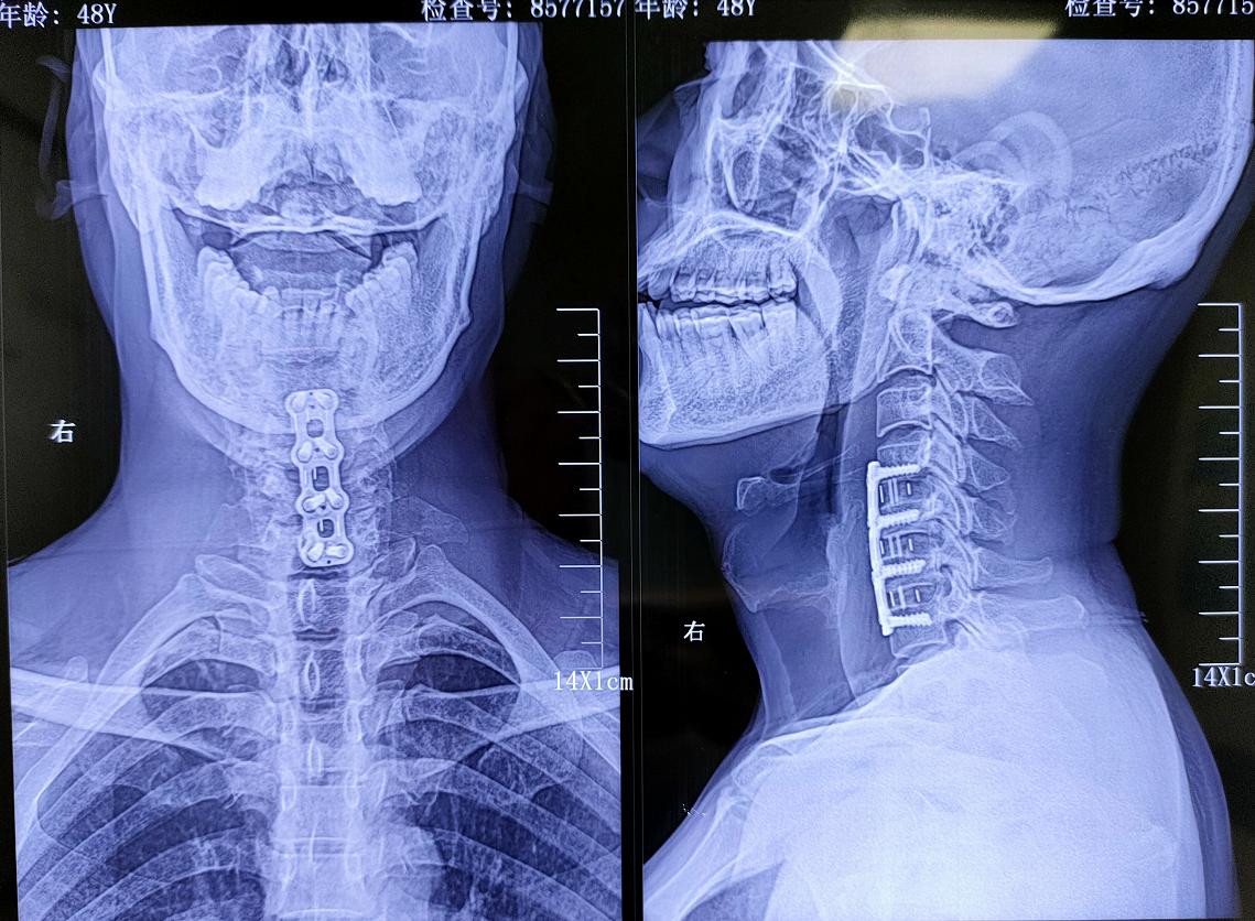 还好我没放弃下一句,还好我没放弃素材