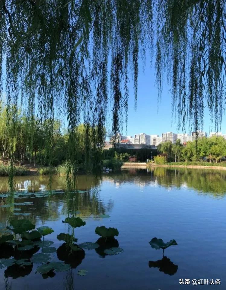 咏张学良,咏北戴河的诗词