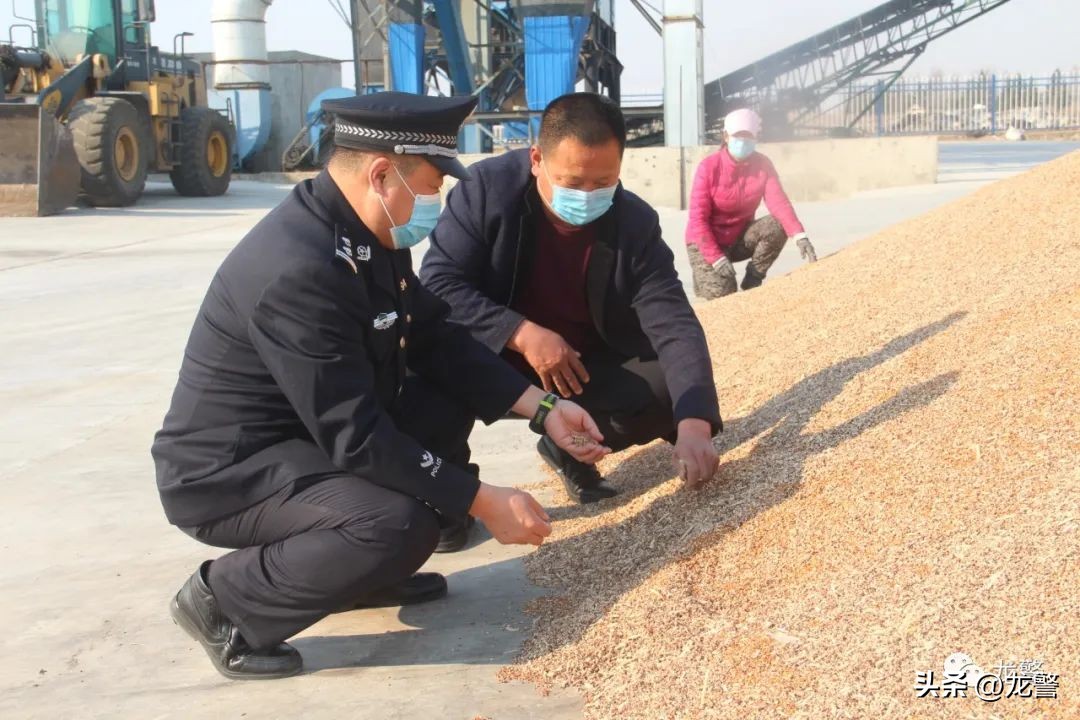 龙警十年，让高质量发展底色更亮