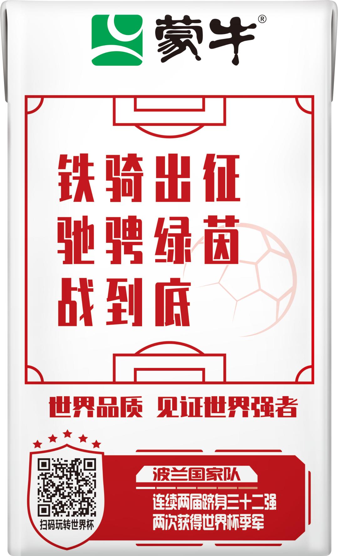 世界杯队长纪录片b站,国家队队长的故事