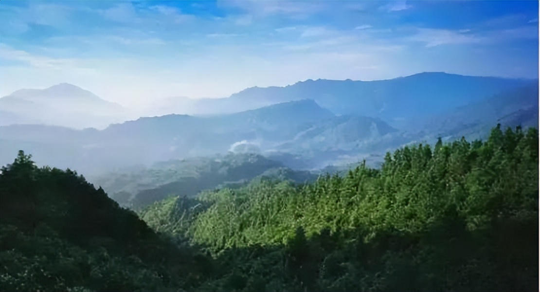 林权类不动产确权登记申请书,内蒙古林权不动产登记流程