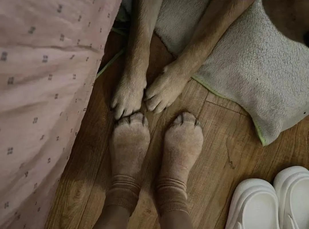 女厕的诡异之处,女厕所发现怪异男尸