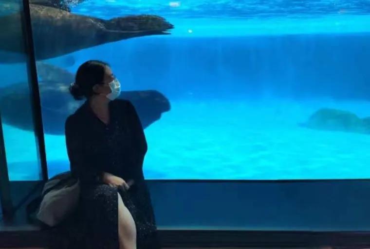 海昌极地海洋公园99元夜场票,海昌海洋极地公园攻略