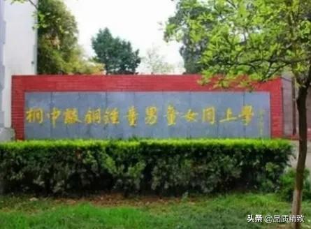 以为真的是征联吗？观音山和桐中营销策划之精妙