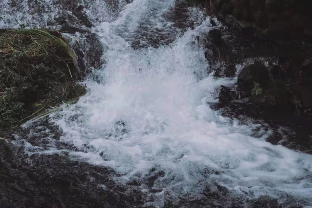 银杏谷泡温泉的地方,广东冬天赏银杏泡温泉