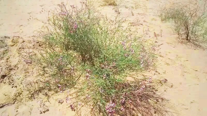 甲癌感恩的话,甲友心声抗癌15年