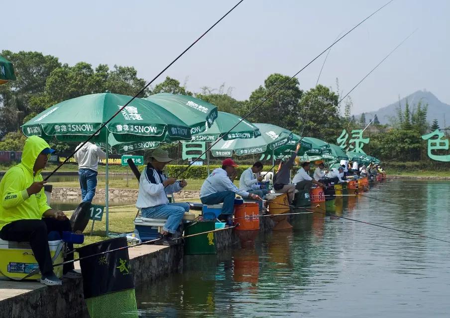 一个钓场盈利几百万,一个钓鱼场一年能赚多少钱