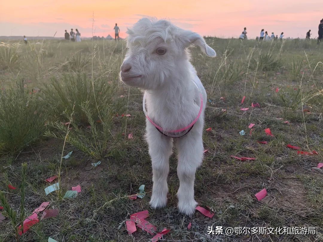 钟镇涛狂欢夜,钟镇涛来东港演出