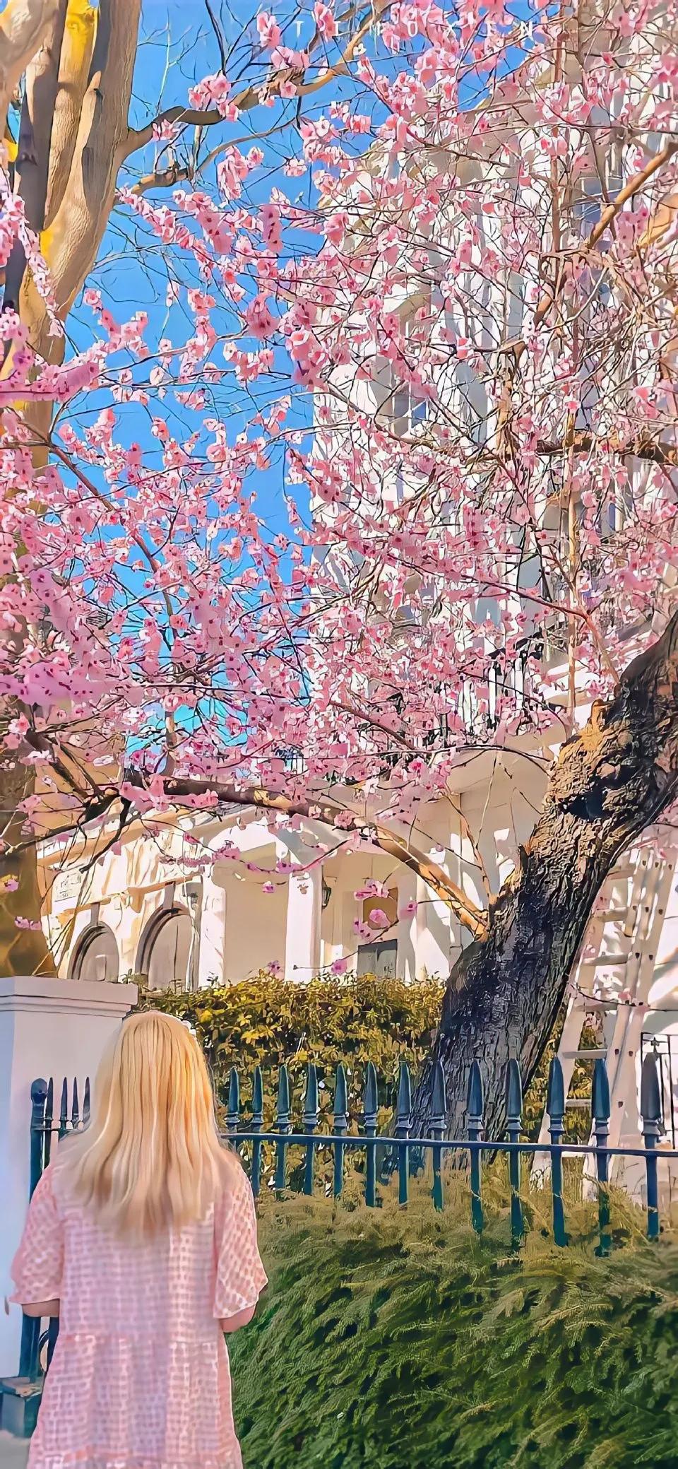 艾弗森背影壁纸高清大图,情侣壁纸ins高级质感海边背影