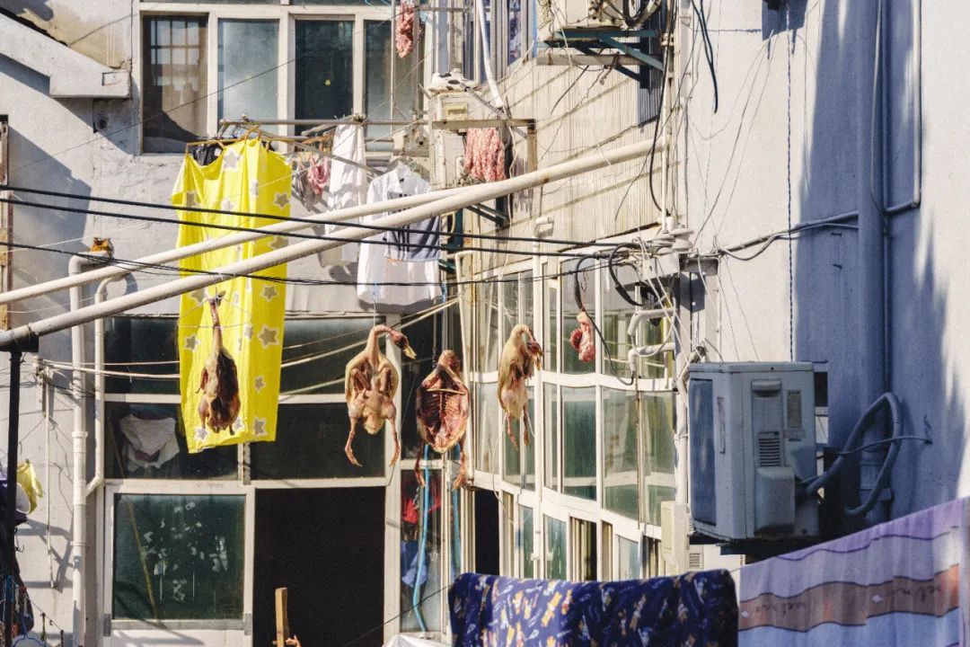 南京东山老鹅哪里最好,南京江宁区老鹅