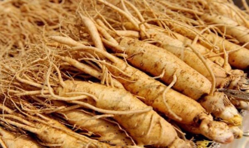 真实的韩国社会现状,韩国留学的真实现状