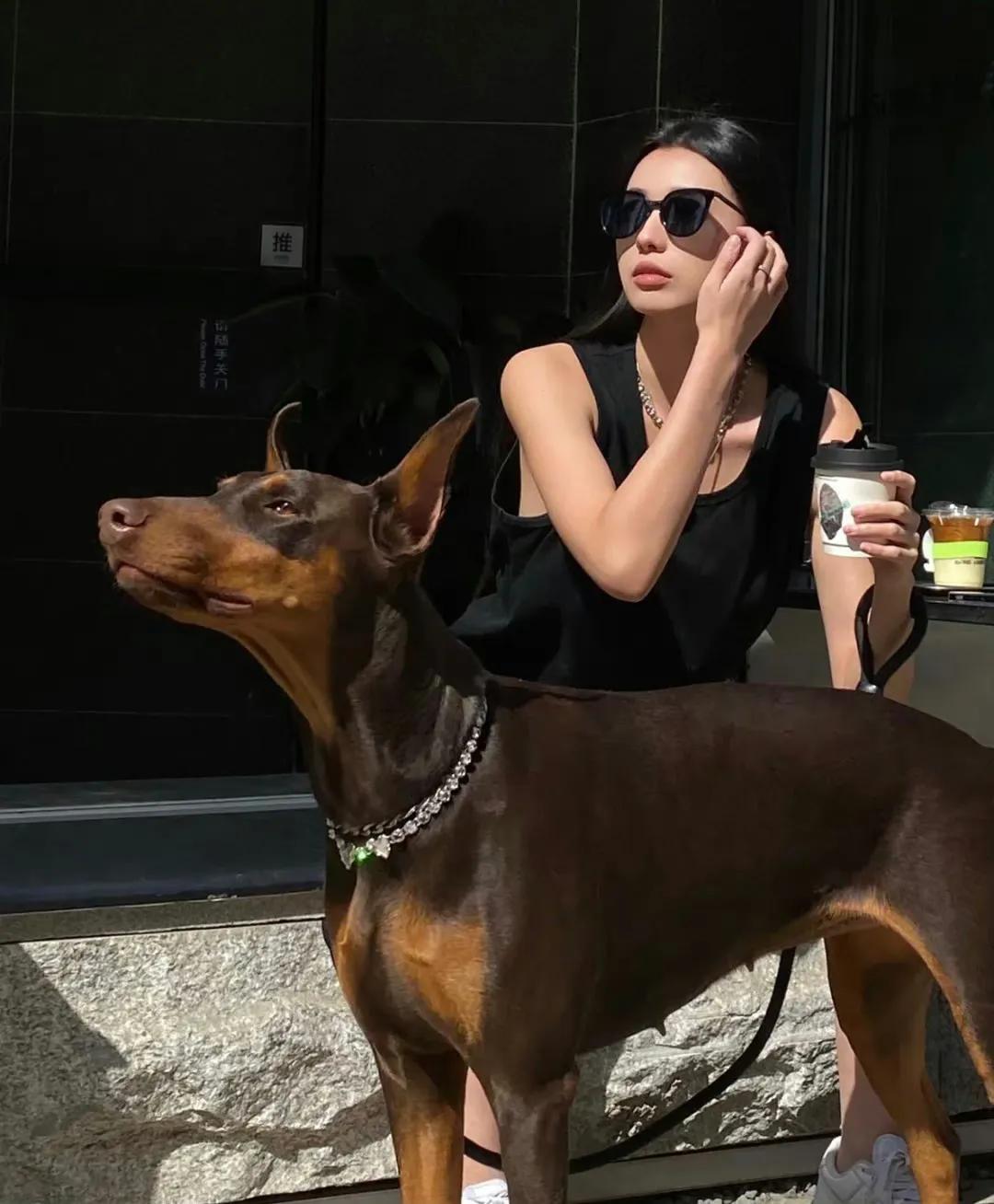 戴墨镜的女生头像搞笑,戴墨镜的女生头像高冷