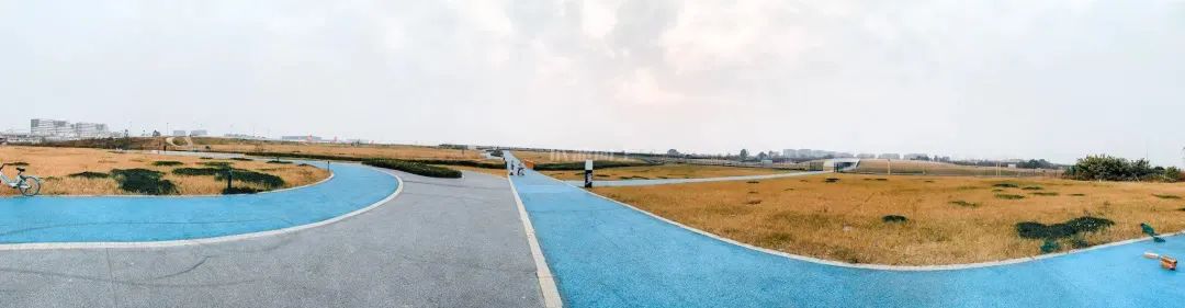 成都成华区城东体育公园,体育公园和大河口哪个值得玩