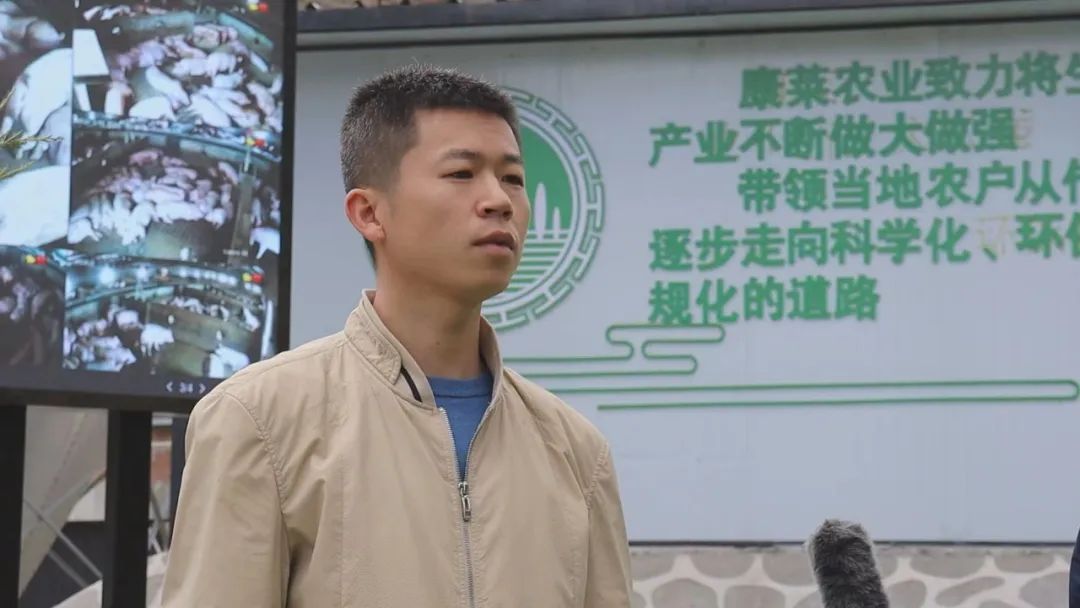 聚焦三抓三促凝神聚力促发展,凝神聚力谋发展务实笃行开新局