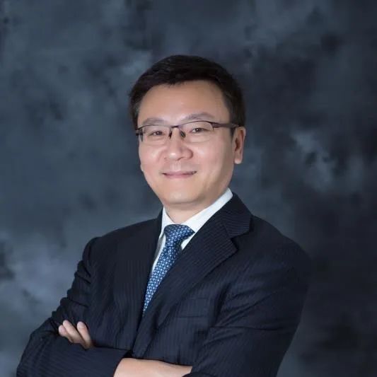 长期绩优基金排名,深度分析绩优基金