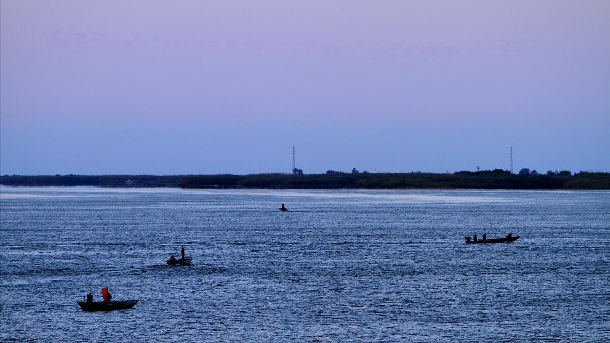 世界上发现的最大鳇鱼,黑龙江大鳇鱼是国家保护动物吗