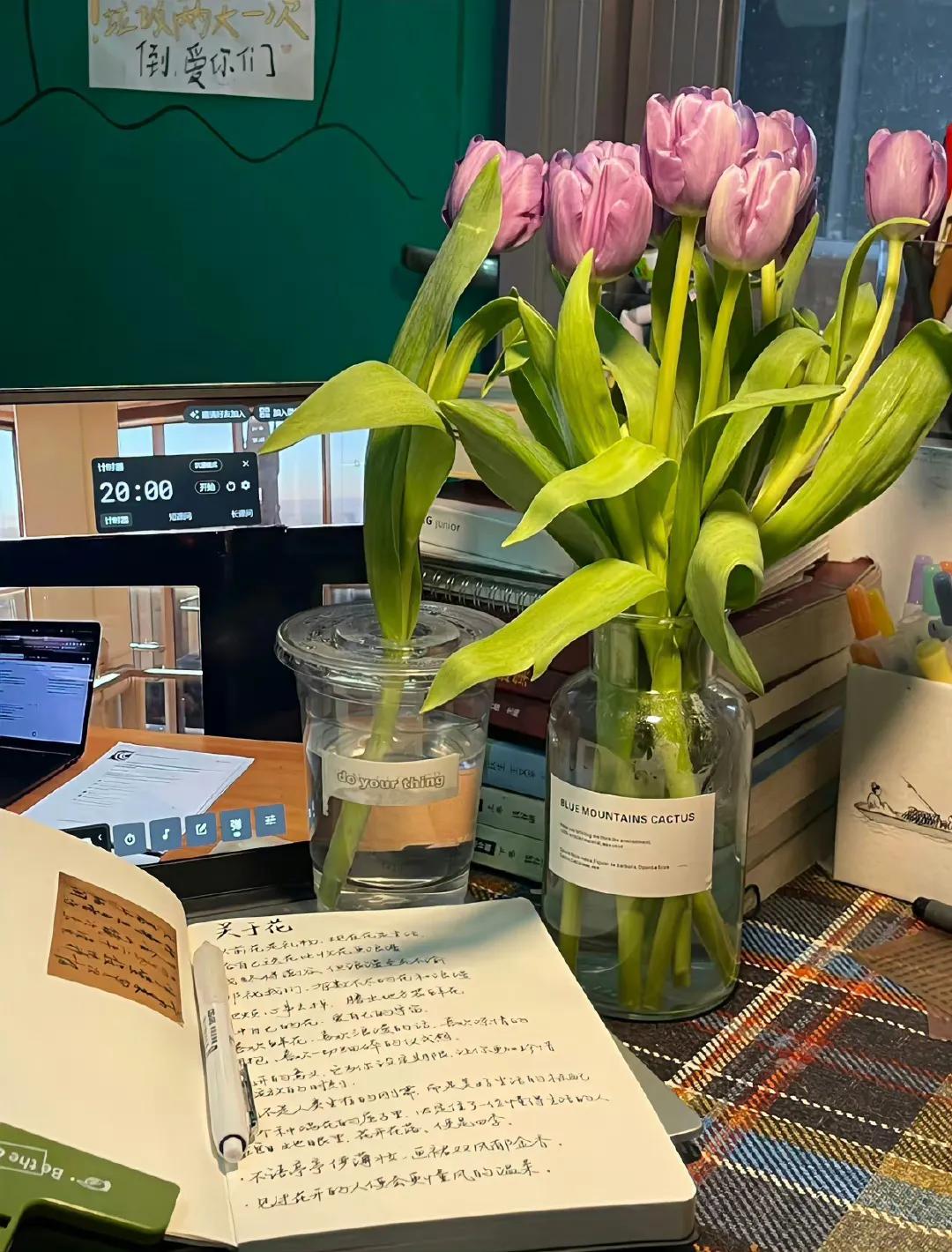 我将玫瑰藏于身后的文案搞笑,朋友圈的文案短句治愈自己