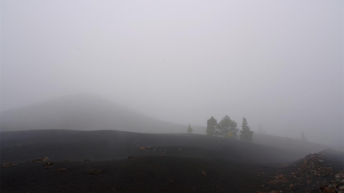 闺蜜带小孩来家里住合适吗,闺蜜带宝宝过来住没地方住怎么办