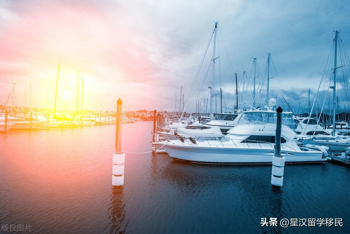 2024年澳大利亚新西兰女足世界杯,2022女子世界杯对澳大利亚完整版