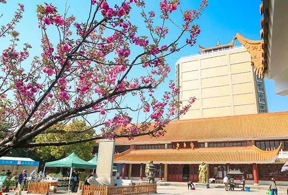 青浦的福寿园与滴水湖的福寿园,青浦福寿园与临港福寿园区别