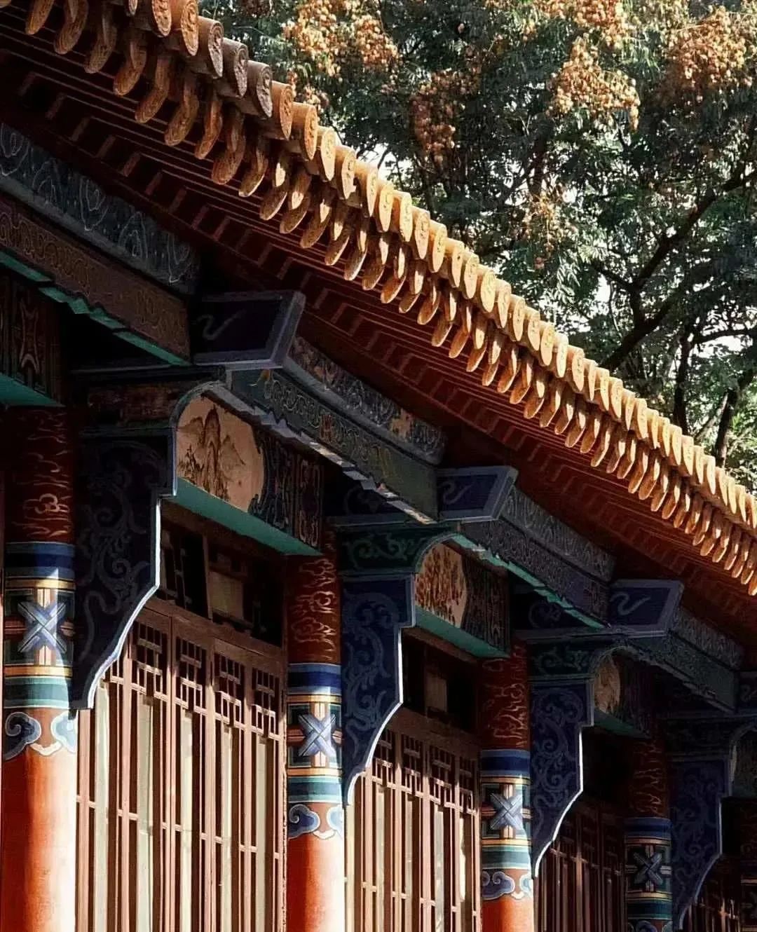 昆明小众打卡点,昆明小众适合孩子玩的地方