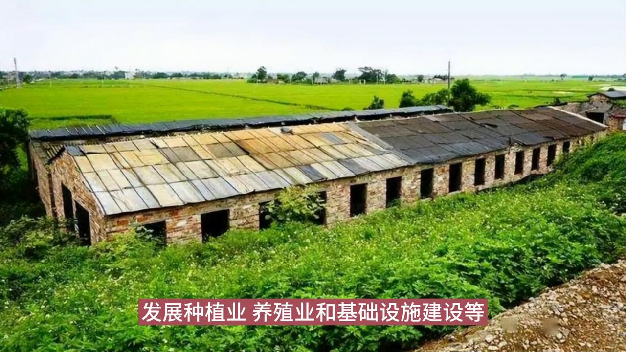 全国电影票19.9元抖音团购,全国团购电影票