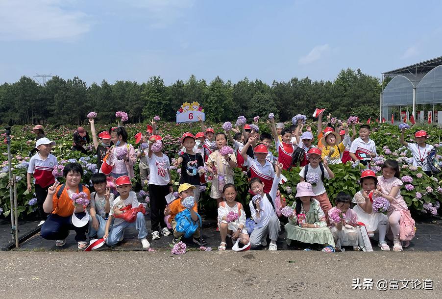 丰城花卉小镇杜鹃花海,丰城花卉小镇攻略