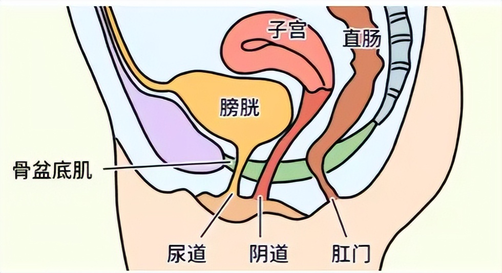 女性裤头发黄是什么原因,女裤发黄是有妇科病吗