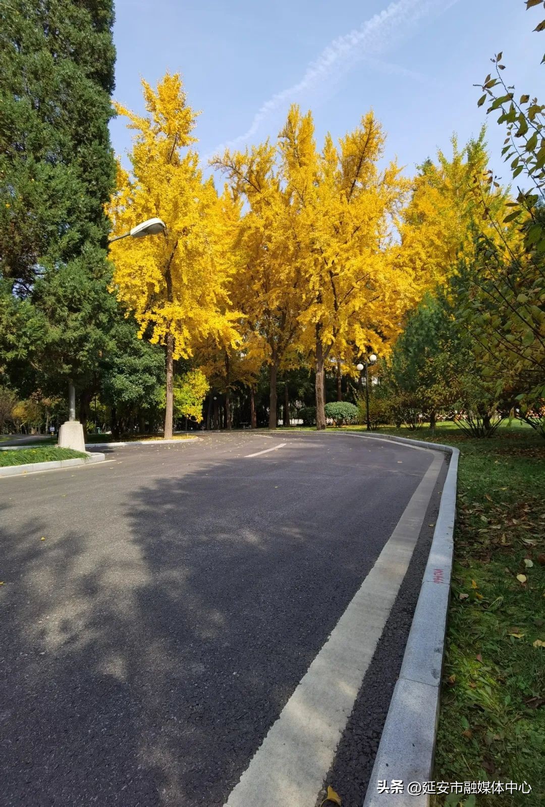 陕西宾馆迎来最佳观花赏景季节,陕西宾馆内景色
