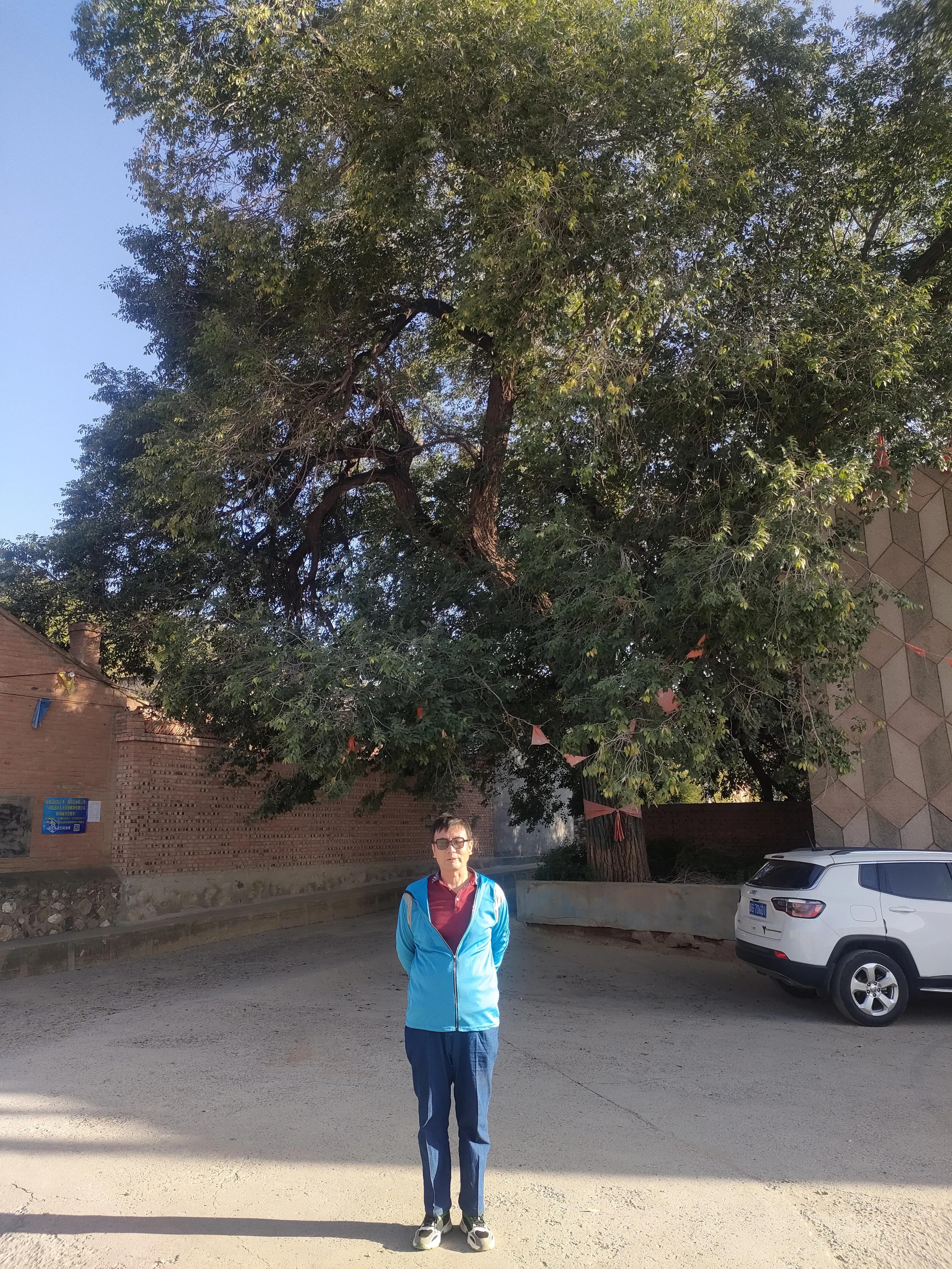 寮犲鍙ｅ競瀹ｅ寲鍘挎潕澶т汉搴勬潃浜烘,瀹ｅ寲鏉庡ぇ浜哄簞鍦板悕鏉ュ巻