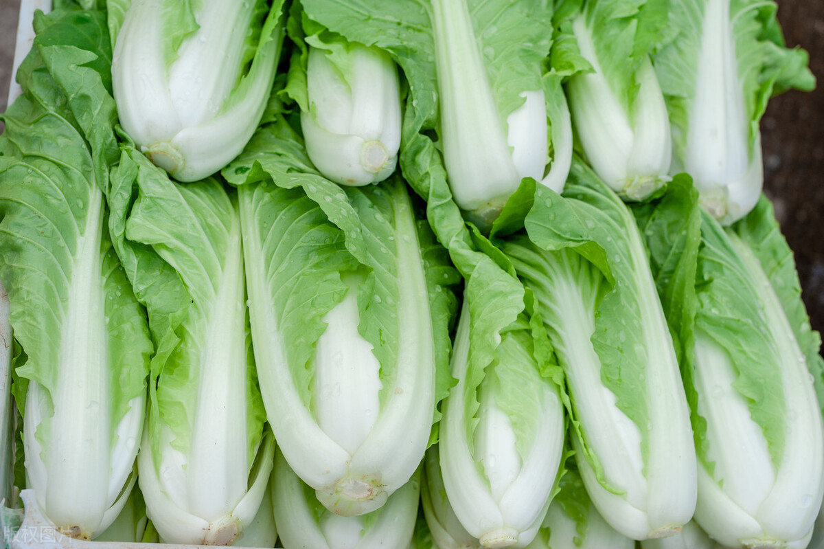 油烟机里的白菜叶,油烟机打扫小技巧